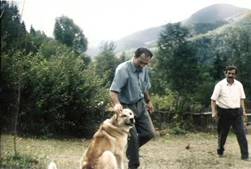 Sinkot