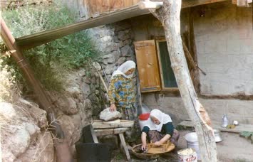 Sinkot