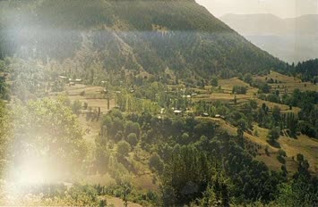 Sinkot