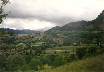 Sinkot