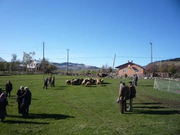 Suloban