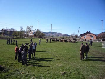 Suloban