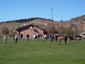 Suloban