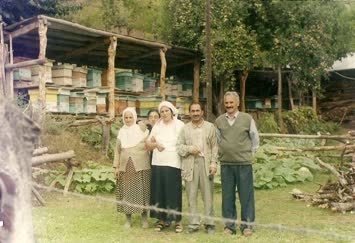 Sinkot