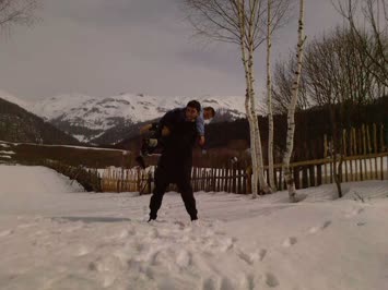 2011 Nisan