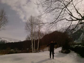 2011 Nisan