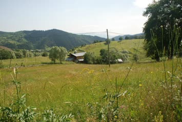 suloban