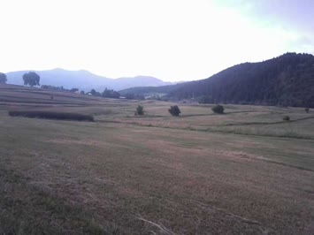 Tabagetil