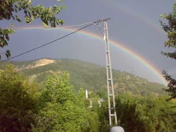Sinkot