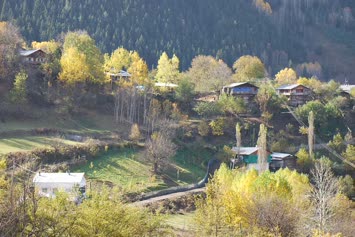 Çartulet