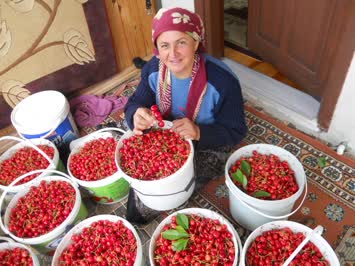 kiraz zamanı