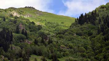 Qaxevla’dan Satavala