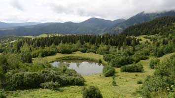 Rutav Gölü