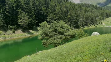 Balık Gölü