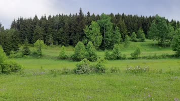 Atalar Köyü