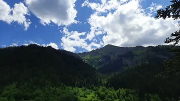 Mısırlı