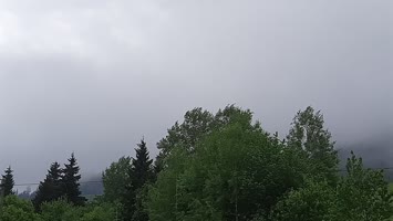 Meşeli