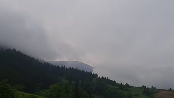 Meşeli
