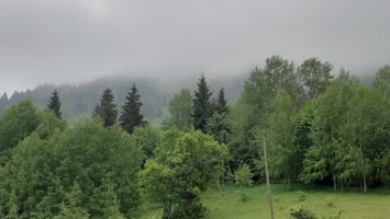 Meşeli
