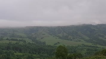 Meşeli