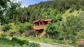 Şavşat Yeşil Vadi Bungalov