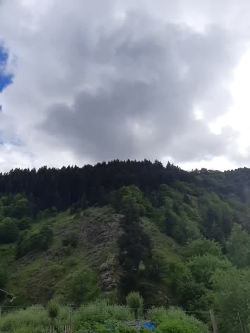 Şavşat Yeşil Vadi Bungalov