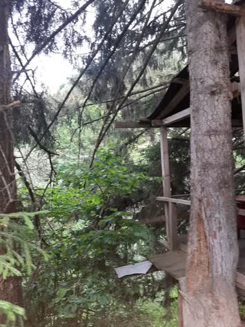 Şavşat Yeşil Vadi Bungalov