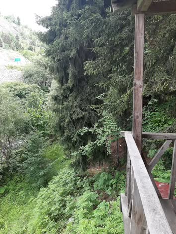 Şavşat Yeşil Vadi Bungalov