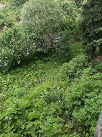 Şavşat Yeşil Vadi Bungalov