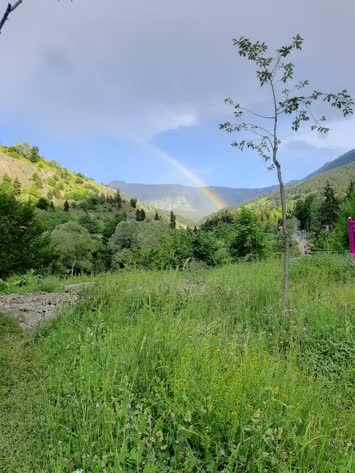 Şavşat Yeşil Vadi Bungalov