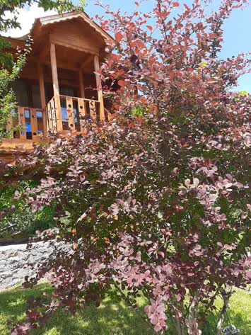 Şavşat Yeşil Vadi Bungalov
