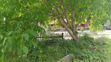 Şavşat Yeşil Vadi Bungalov