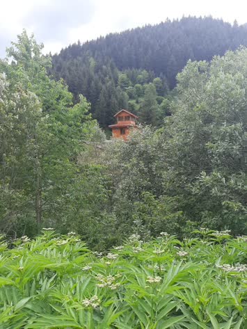 Şavşat Yeşil Vadi Bungalov