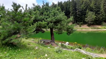 Balık Gölü