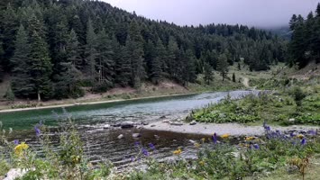 Balık Gölü