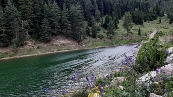 Balık Gölü