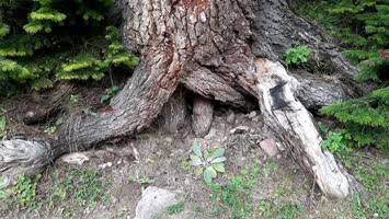 Balık Gölü kenarı
