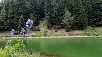 Balık Gölü
