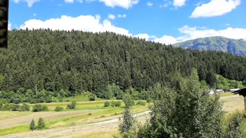Meşeli