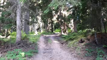 Meşeli