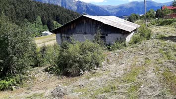 Meşeli