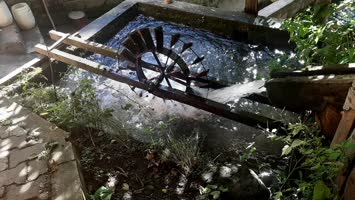 Meşeli Agara