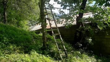 Meşeli Agara