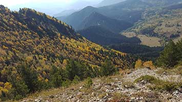 Suloban Tepeleri