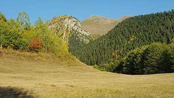 Bozkaya