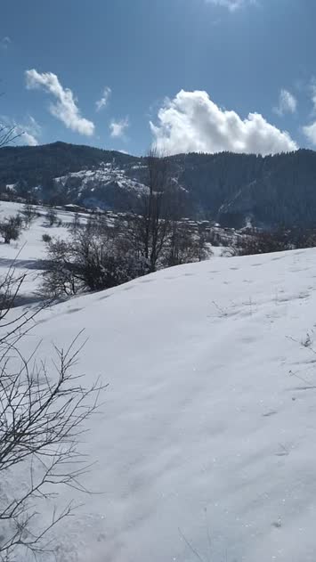 Sırtlar - Suloban