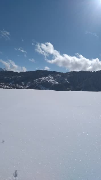 Sırtlar - Suloban