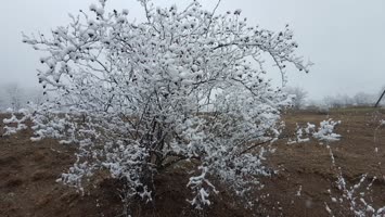 Suloban ve Kış