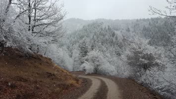 Suloban ve Kış