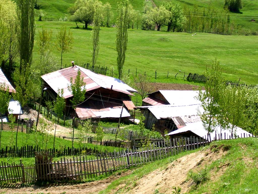 Çoraklı Köy Sitesi